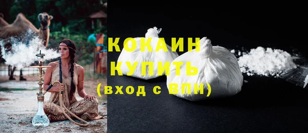 соль ск Абаза