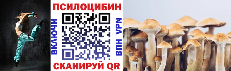 Галлюциногенные грибы мухоморы  где купить наркоту  KRAKEN ссылка  Сольцы 